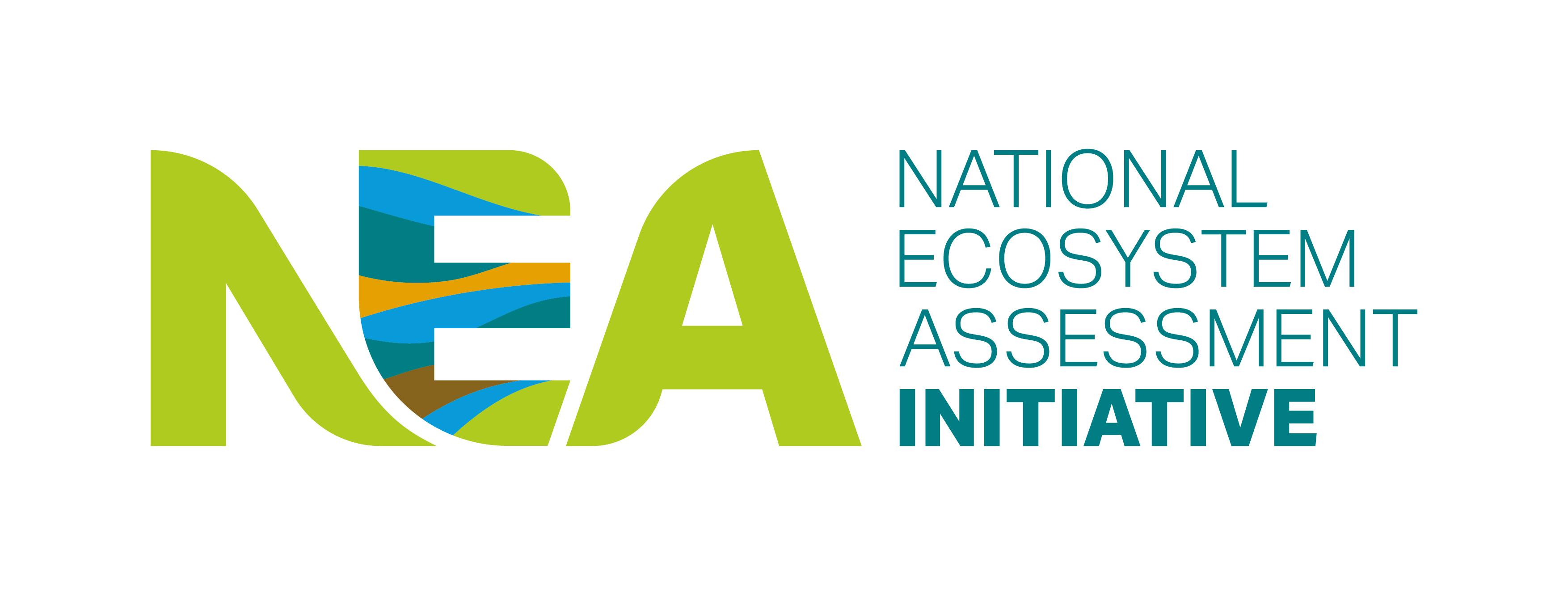 The official logo of the National Ecosystem Assessment Initiative 