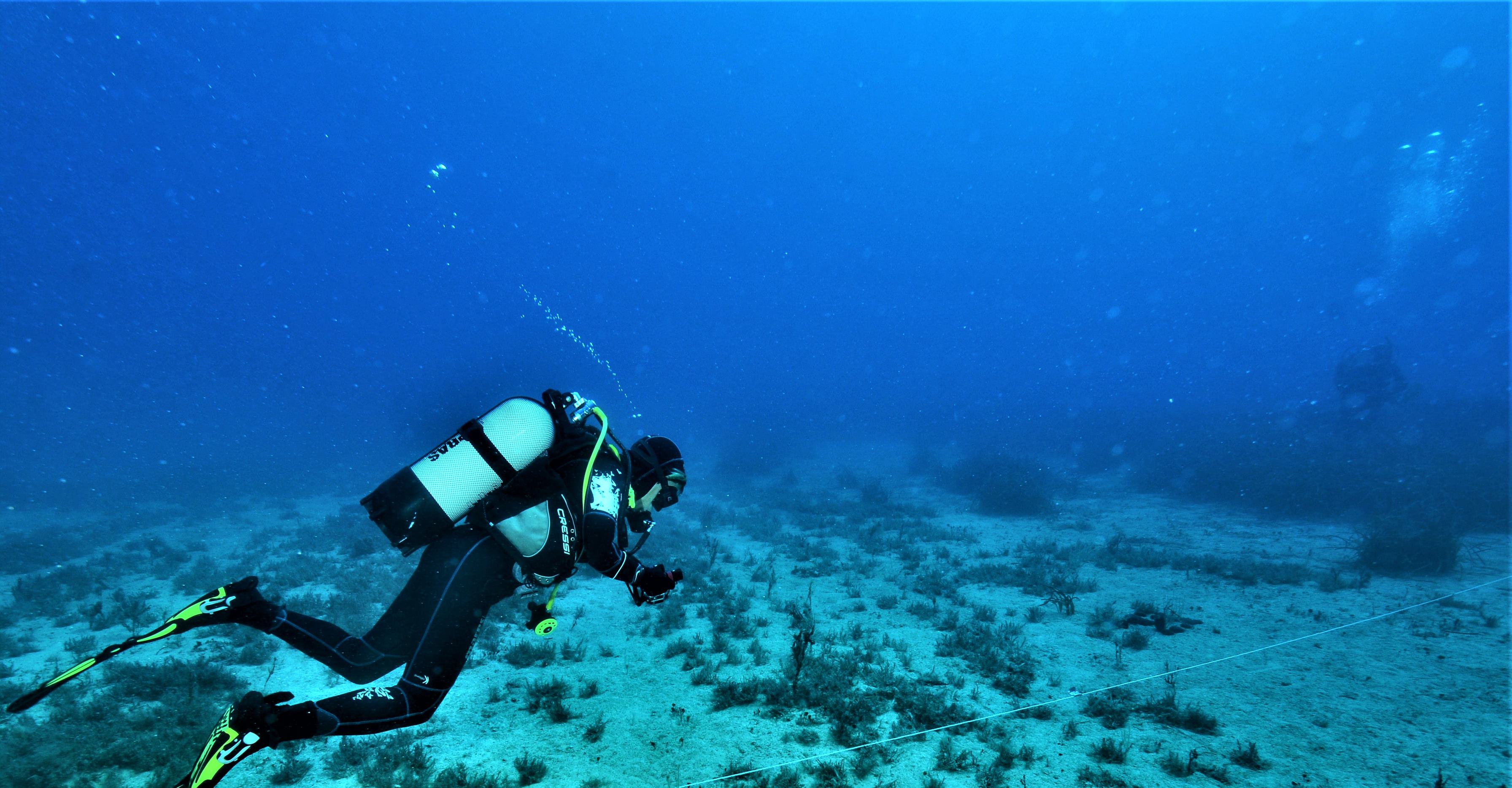 A diver swimming on the sea floor.